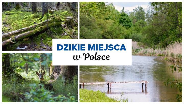 Dzikie miejsca w Polsce. 7 pomysłów na urlop z dala od tłumów