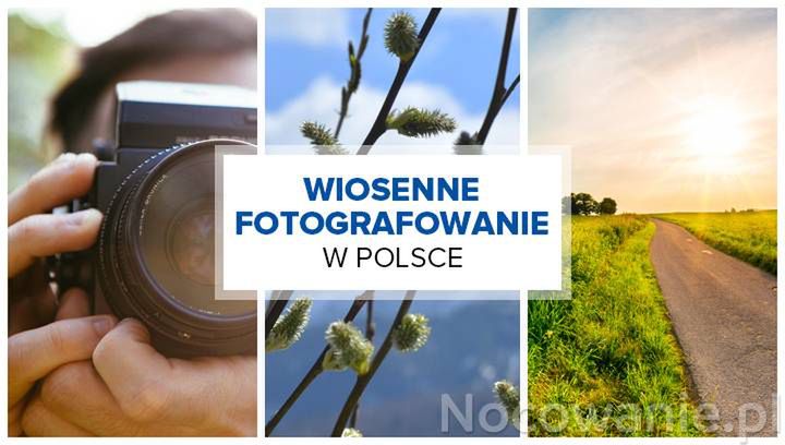 Najpiękniejsze miejsca do wiosennego fotografowania w Polsce. Gdzie się wybrać?