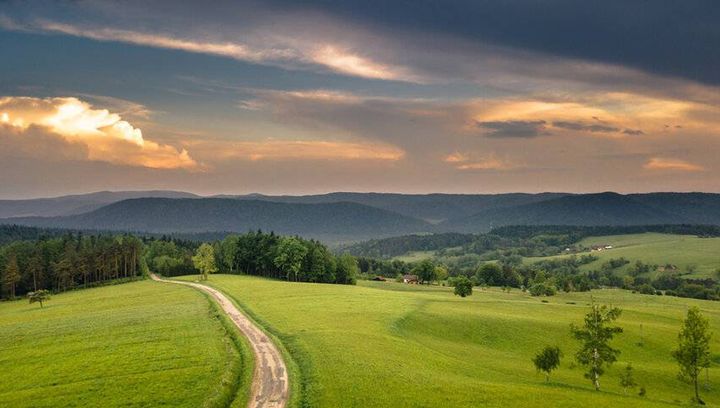 Wieża widokowa na Łysuli. Nowa atrakcja w Beskidach, która przyciąga turystów