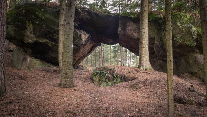 Rezerwat przyrody Diable Skały. Ciekawe miejsce na rodzinną wycieczkę