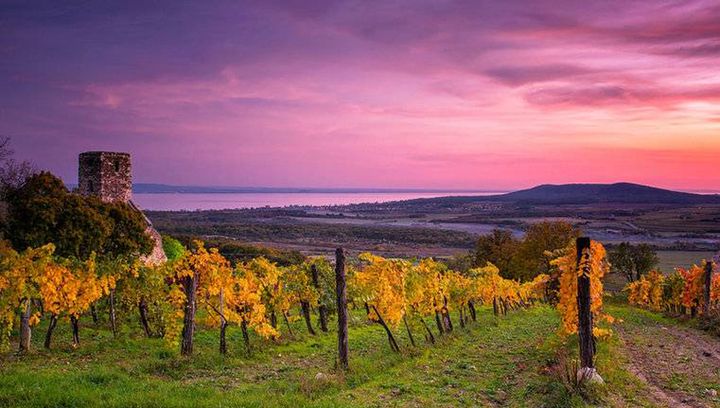 Wiosna na Węgrzech. Najlepsze miejsca i atrakcje na miło spędzony czas