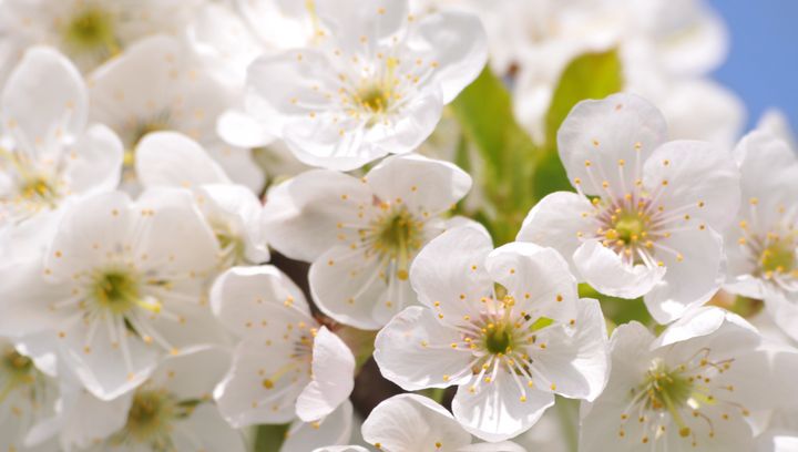 Pogoda na kwiecień 2025 w Polsce, w górach, nad morzem