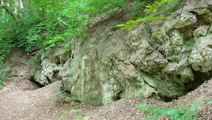 Jaskinia Bajka - tajemnicze miejsce na Kujawach. Dlaczego warto ją odwiedzić?