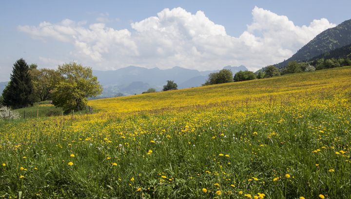 Pogoda na maj 2025 w Polsce, w górach, nad morzem