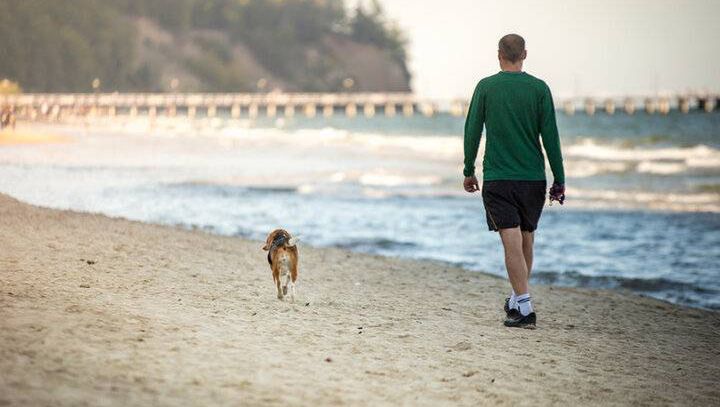 Wielkanoc i majówka nad morzem. Chętnie wybierany kierunek na wiosenny wyjazd