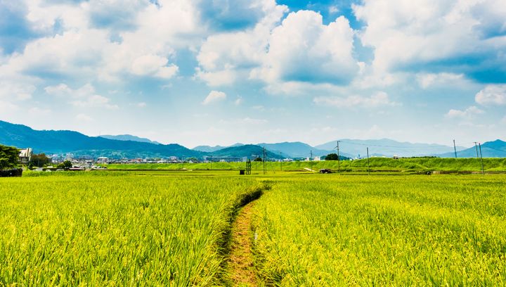 Pogoda na czerwiec 2025 w Polsce, w górach, nad morzem