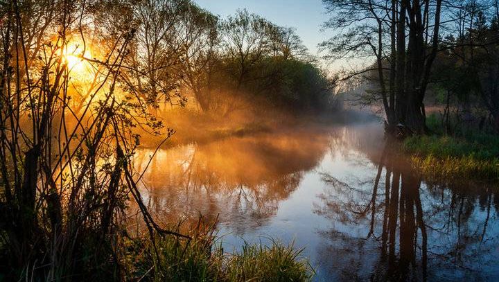 Puszcza Knyszyńska - prawdziwa perła Podlasia. Dlaczego warto ją odwiedzić?