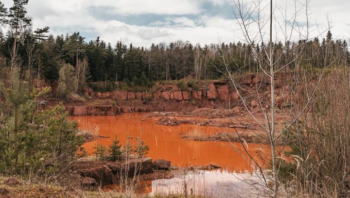 Kamieniołom Kopulak w Suchedniowie. Marsjański klimat na wyciągnięcie ręki