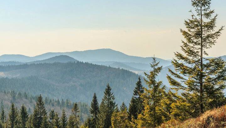 Kąpielisko z widokiem na las i Beskidy. Turyści będą zachwyceni