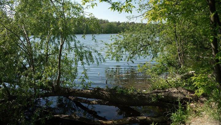 Najcieplejsze jeziora w Polsce. Które akweny warto odwiedzić?