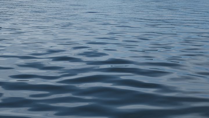 Jezioro Trzciańskie na weekend. Prawdziwa perełka w pobliżu Warszawy