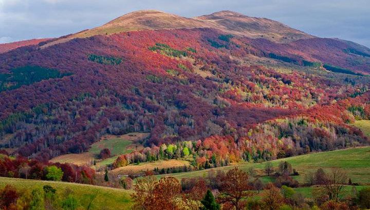 Jesienne atrakcje w Bieszczadach. Gdzie się wybrać?