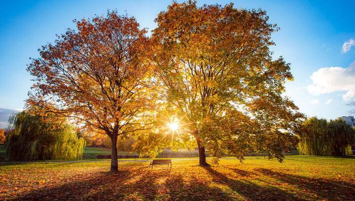 Najpiękniejsze widoki w jesiennej odsłonie. Gdzie warto się wybrać w Polsce?
