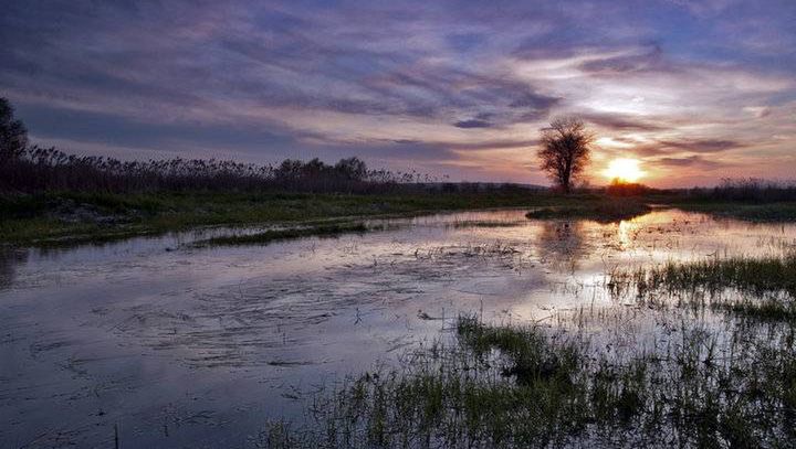 Wieża widokowa w Umianowicach. Nowe miejsce w Świętokrzyskiem