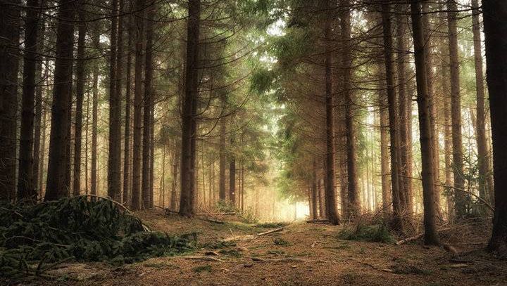 Rezerwat przyrody Grapa w Żywcu. Nowa stara atrakcja otwarta po 30 latach