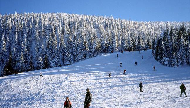 Kiedy początek sezonu narciarskiego 2025/2026 w Polsce? Ośrodki podały daty 