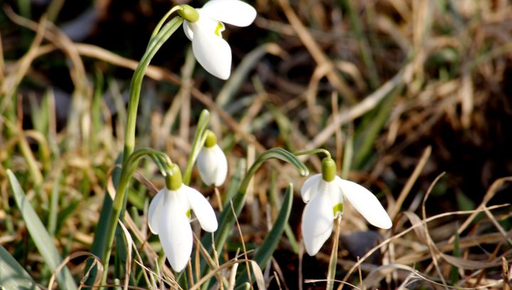 Pogoda na marzec 2025 w Polsce, w górach, nad morzem
