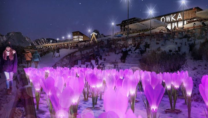 Zimowe ogrody świateł w Małopolsce. Gdzie poczujesz niezapomnianą magię zimy?