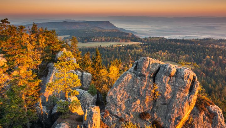 Ranking GUS zaskakuje: te miejsca w Polsce wyprzedziły Kraków