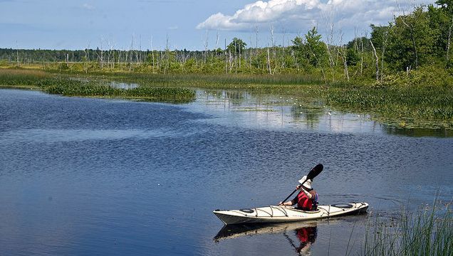 Spływy kajakowe na Mazurach