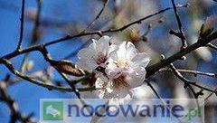 Pogoda na marzec 2012