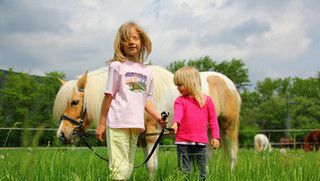 Edukacyjne gospodarstwa agroturystyczne