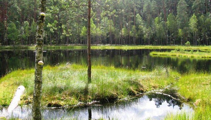 Kto nie widział Krutyni, ten nie widział Mazur