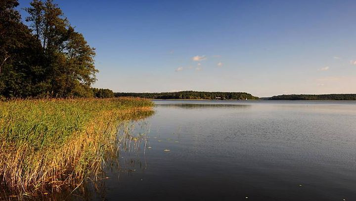 Letni spływ kajakowy rzeką Pisą