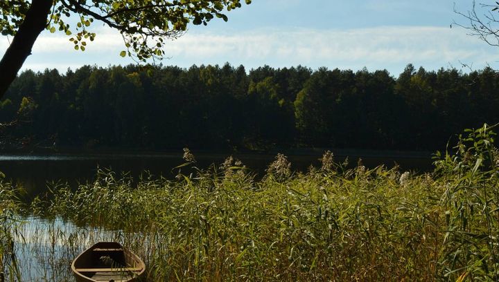 Spacerem przez Mazury - 4 ciekawe ścieżki przyrodnicze