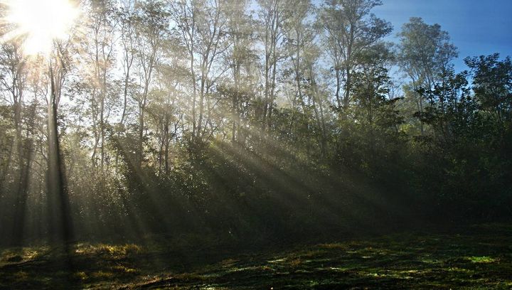 Pogoda na pierwszy tydzień września 2016