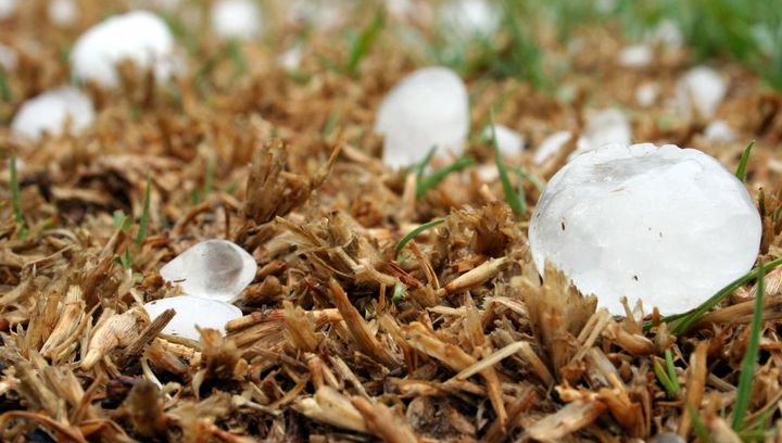 Pogoda na czwarty tydzień listopada 2016