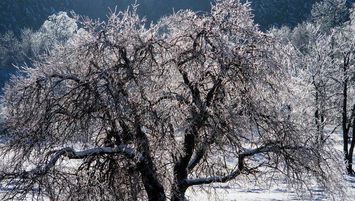 Pogoda na koniec grudnia 2016