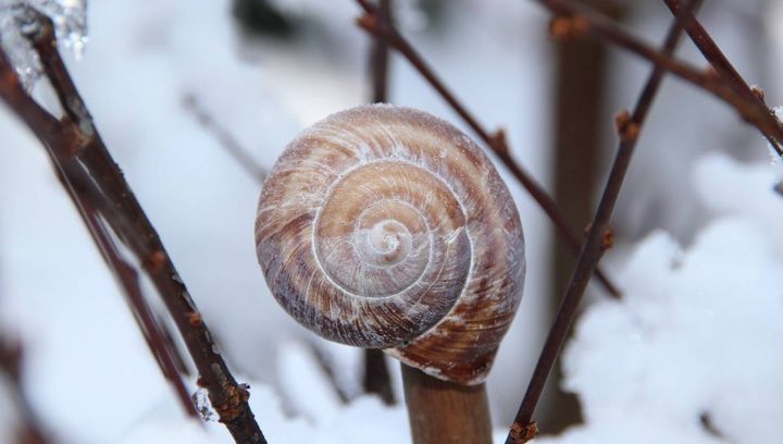 Pogoda na trzeci tydzień stycznia 2017