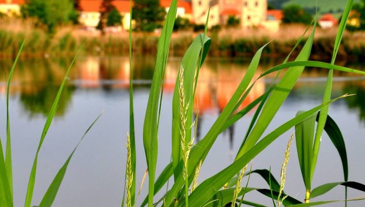 Velehrad – Klasztor Cystersów z bazyliką Św. Cyryla i Metodego