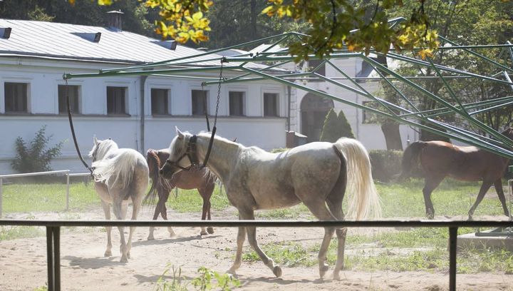 6 miast w lubelskim, o których prawdopodobnie nie słyszałeś