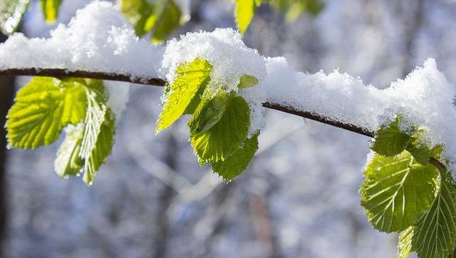 Pogoda na pierwszy tydzień kwietnia 2017