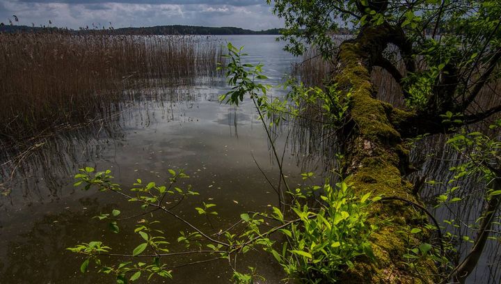 Majowe warsztaty fotograficzne na Mazurach