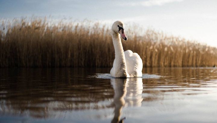 W poszukiwaniu malowniczych widoków, czyli rejs Łabędzim Szlakiem