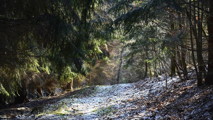 Pogoda na koniec grudnia 2018