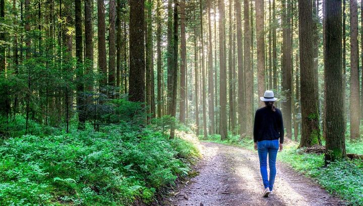 Na piechotę przez Mazury. 5 polecanych tras spacerowych