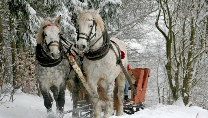 Noclegi z atrakcjami: kuligi, ogniska. Sprawdź, co jeszcze oferuje agroturystyka