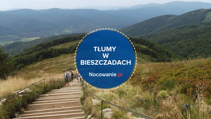 Tysiące turystów na Tarnicy. Tylu osób w Bieszczadach jeszcze nie było!