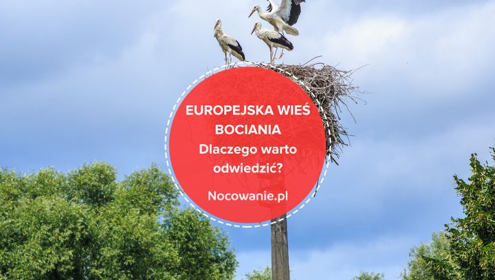 Wypoczynek na Podlasiu. Dlaczego warto odwiedzić Europejską Wieś Bocianią?