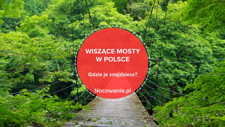 Wiszące mosty w Polsce. Poznaj niezwykłe miejsca