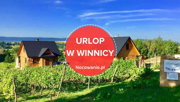 Urlop w winnicy! Musisz tego spróbować