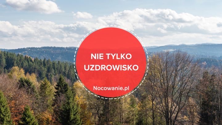 Nie tylko uzdrowisko! Dlaczego warto odwiedzić Kudowę-Zdrój?