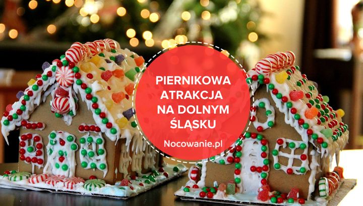 Piernikowa atrakcja na Dolnym Śląsku. Poczuj klimat Świąt!