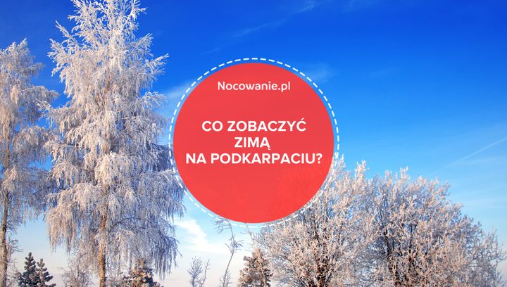 Nie tylko Bieszczady! Co warto zobaczyć zimą na Podkarpaciu?