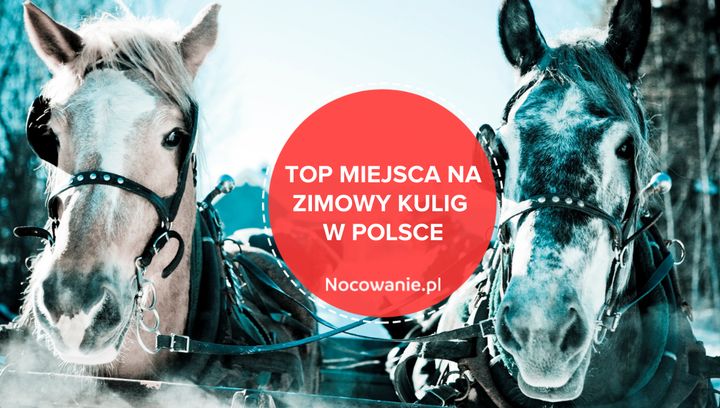 Najlepsze miejsca na zimowe kuligi w Polsce. Gdzie się wybrać?