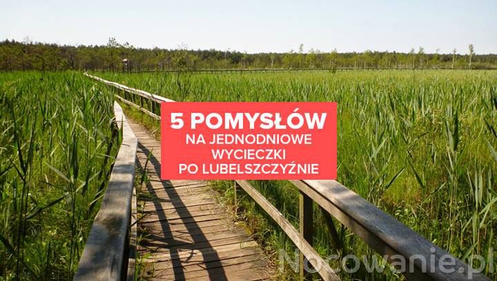 5 pomysłów na jednodniowe wycieczki po Lubelszczyźnie. Gdzie się wybrać?